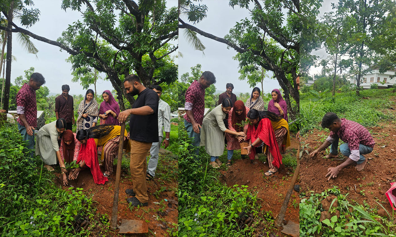 Participants in a tree planting activity