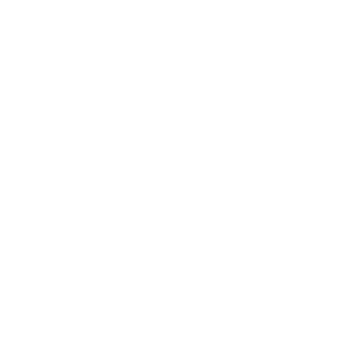 ETCES Icon White